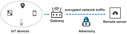 Obfuscation Technology