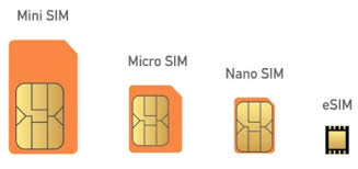 Activate eSIM via Carrier App