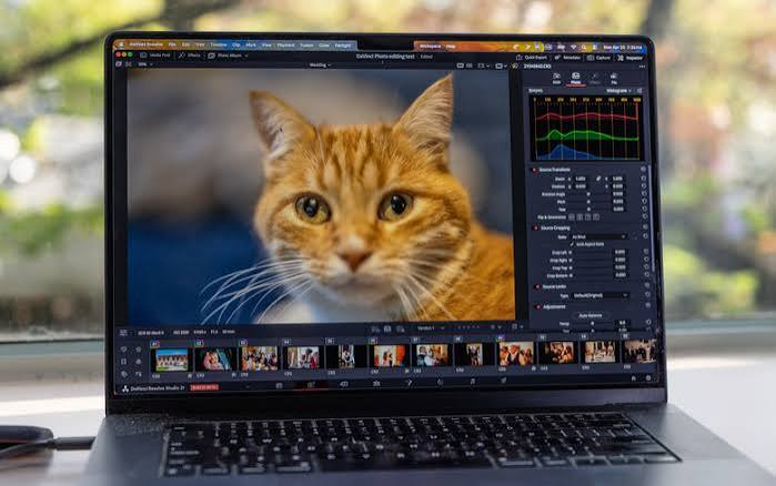 DaVinci Resolve: The Gold Standard