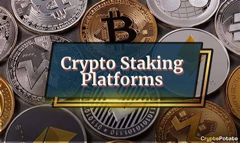Best Crypto Staking Platforms in India in 2026