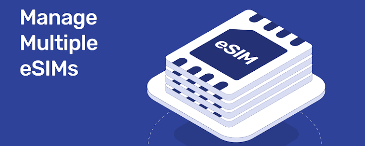 Transferring Multiple eSIMs (Dual eSIM Transfer)