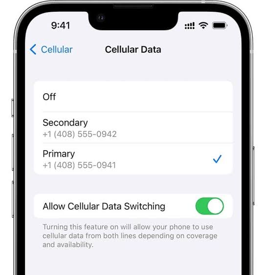 Dual SIM Configuration — Key Settings