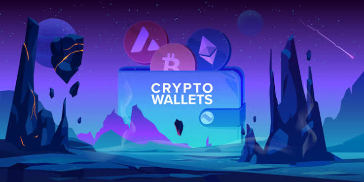 Best Crypto Wallets for Beginners in 2026